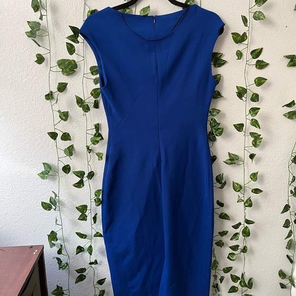 Zara Royal Blue Fitted Dress - Picture 4 of 6